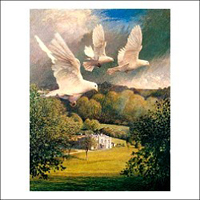 James Lynch - Doves in Flight