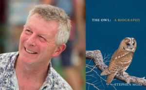 Stephen moss the owl and other birds