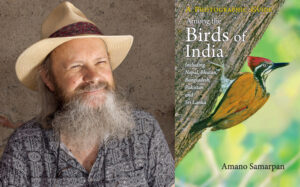 amano tracy birds of india